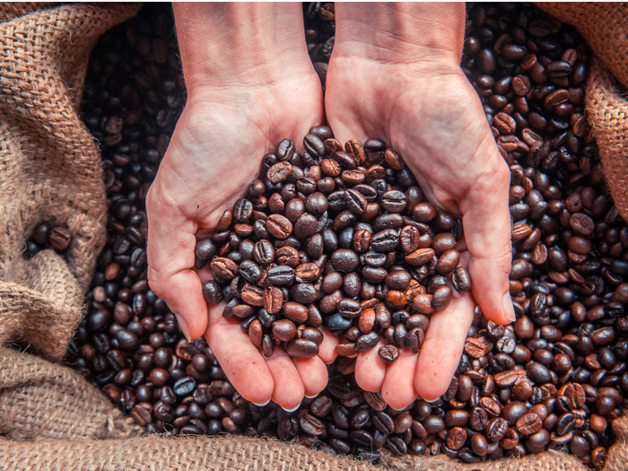Meet Our Local Suppliers: The Story Behind Our Beans